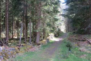 Schiehallion